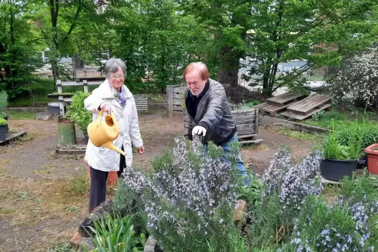 Hobbygärtnerin Inge Körner und der damalige Quartiersmanager Reimar Seid im Mitmachgarten.