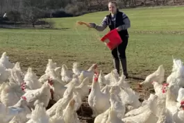 Sich um die Hühner zu kümmern, ist die Hauptaufgabe von Lena Eser. 