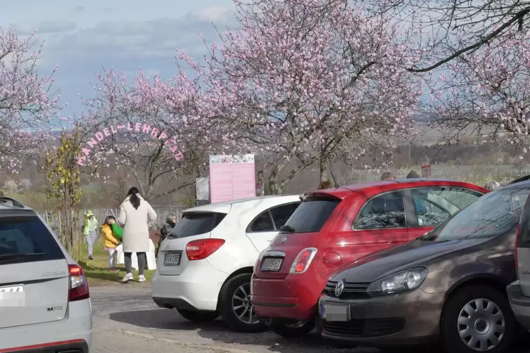 Mandelblütenfest und viele weitere Veranstaltungen locken am Wochenende Besucher in die Region: Wo sollen die alle parken? 
