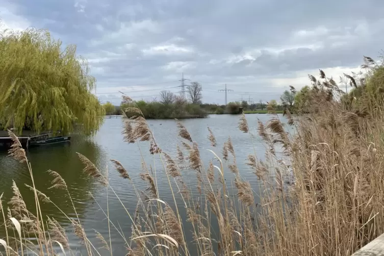 Idyll am Dorfrand &ndash; der Weiher entstand durch den Bau der A65. 