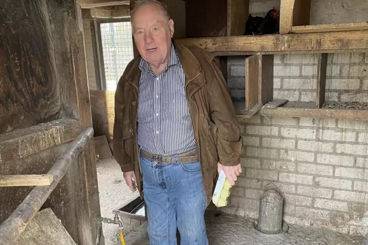 Frisch gelegte Eier holt Roland Strub aus dem H&uuml;hnerstall. 