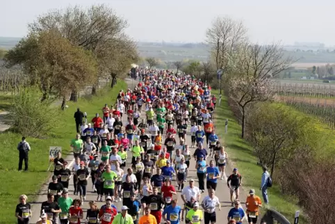 Maximal 3500 Läufer können zum Marathon Deutsche Weinstraße starten. 