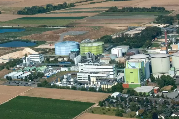 Die neue Produktionsstätte für die Verarbeitung von Ackerbohnen wird hinter dem Südzucker-Parkplatz gebaut. Im Foto ist die Fläc