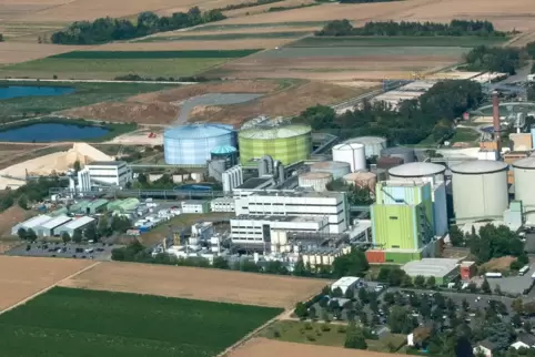 Die neue Produktionsstätte für die Verarbeitung von Ackerbohnen wird hinter dem Südzucker-Parkplatz gebaut. Im Foto ist die Fläc