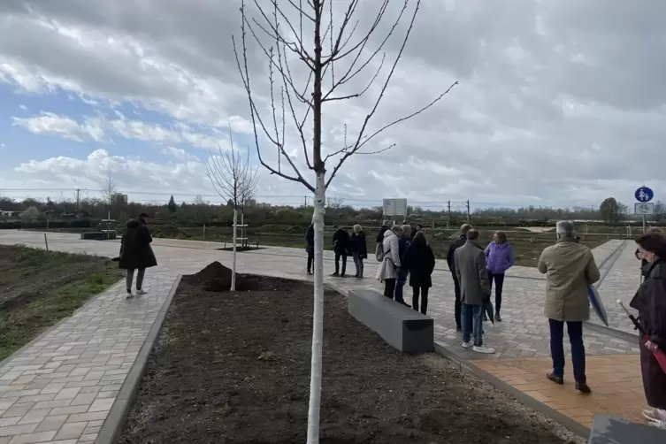 Spaziergang durch die k&uuml;nftige Siedlung: Die Stra&szlig;en sind schon fertig.