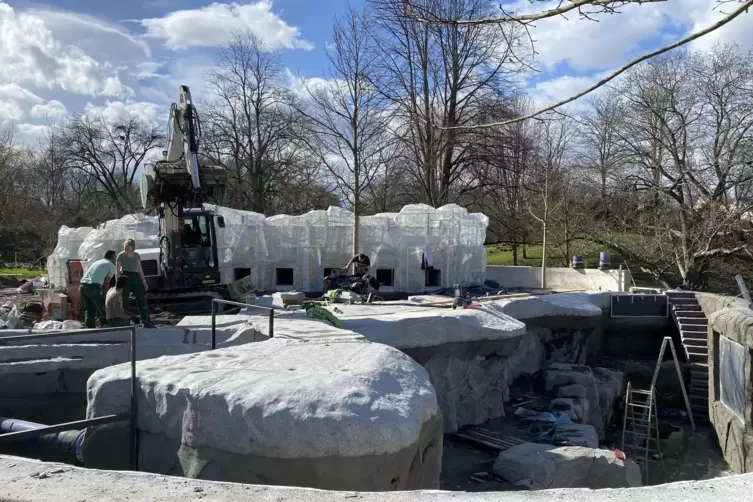 Auf drei Ebenen k&ouml;nnen sich die Pinguine austoben.