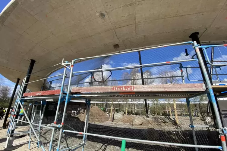 Die Gro&szlig;voliere soll bis zur Er&ouml;ffnung fertig werden.