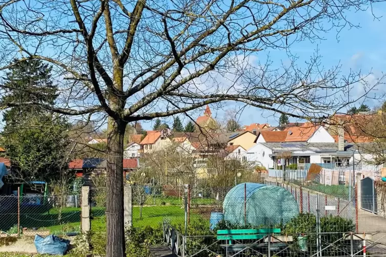 Inmitten des Dorfes breiten sich in Insheim mehrere Kleingärten aus.