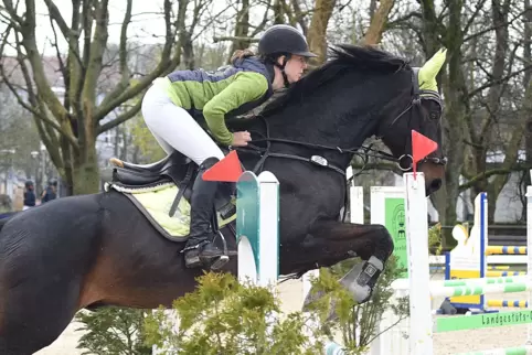Mannschaftsspringprüfung der Klasse A: Noelle Heil von der Zweibrücker Sieger-Mannschaft Rosen und Rösser auf Birkenhofs Souverä