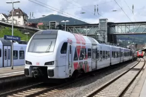 Besitzer des 49-Euro-Tickets reisen am schnellsten mit dem Regional-Express zur Bundesgartenschau. 