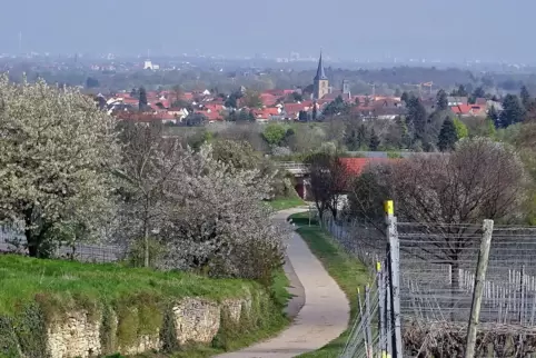 Die Bäume blühen überall in der Pfalz, aber es bleibt kühl.