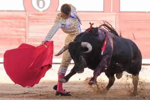 Umstrittene und blutige Tradition: Stierkampf in Madrid.