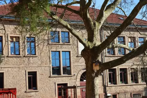Die Stadt hat vor Beginn der Brutzeit sechs neue Nistkästen im Außengelände der Grundschule Queichheim aufgehängt. 