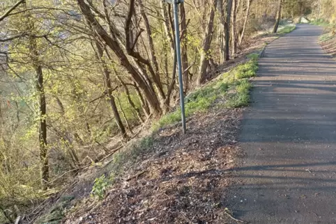 Der Steilhang auf der einen Seite der Anliegerstraße Am Kesselberg führt 30 bis 40 Meter in die Tiefe. Das kann für Radfahrer un