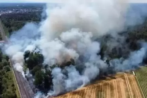 Die Feuerwehren mussten im vergangenen Jahr oftmals ausrücken, weil es vermehrt Brandstiftungen gab. 