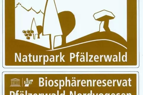 Das MAB-Komitee wacht über den Biosphärenstatus des Pfälzerwaldes. Kann es auch auf den B10-Ausbau Einfluss nehmen?