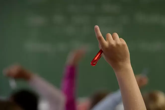 Manche Quereinsteiger kommen aus Regelschulen. Manche Quereinsteiger kommen aus Regelschulen.