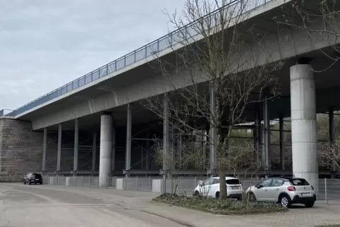 Unter der Rheinbrücke soll nach dem Vorschlag der Planer ein Treffpunkt für Jungendliche entstehen. Unter anderem wird die Erric