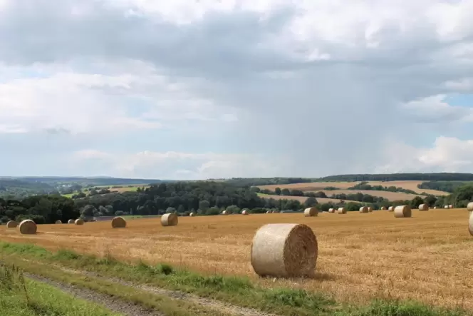 Blick über das Zweibrücker Hügelland. Blick über das Zweibrücker Hügelland.