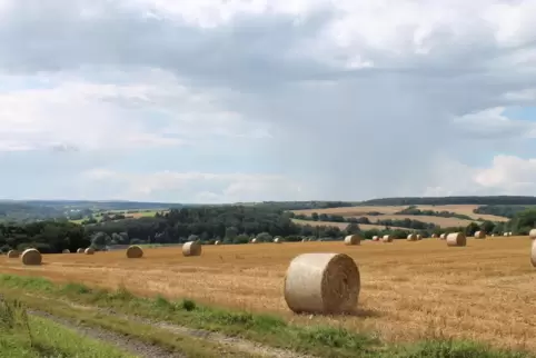 Blick über das Zweibrücker Hügelland. 