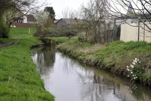 Der Eckbach in Bobenheim-Roxheim in der Nähe des Bolzplatzes. Für den Beginn der Renaturierung steht noch kein Termin fest. 