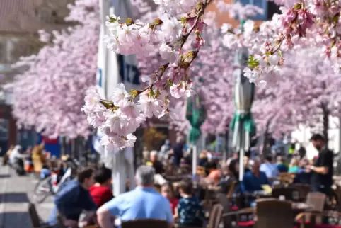 Wirte können jetzt auf drei Plätzen in der Landauer Innenstadt größere Flächen für die Außengastronomie nutzen. 