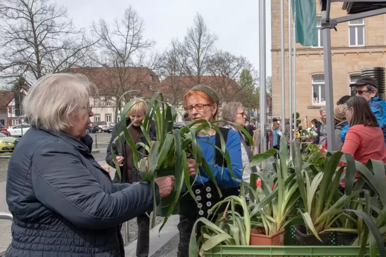 Fachsimpeln und tauschen: Das war das Konzept der B&ouml;rse. 