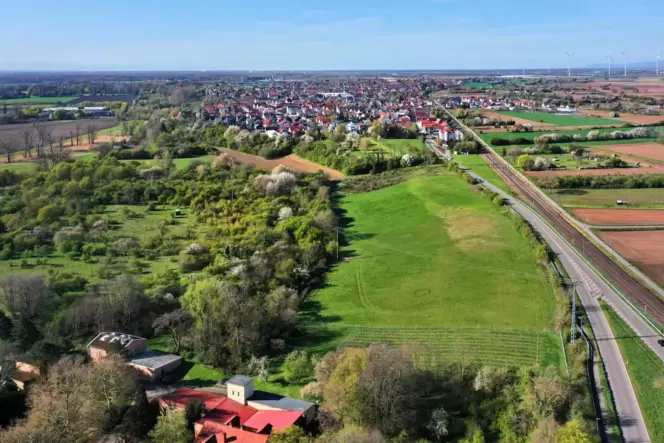 Hier soll die Photovoltaikanlage gebaut werden: Grasfläche zwischen Berghausen und Speyer.
