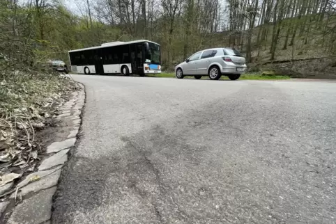 Auf dem Waldparkplatz oberhalb des Freibades in Dudweiler, ist am Samstag ein 28 Jahre alter Mann mutmaßlich von seinem Schwager