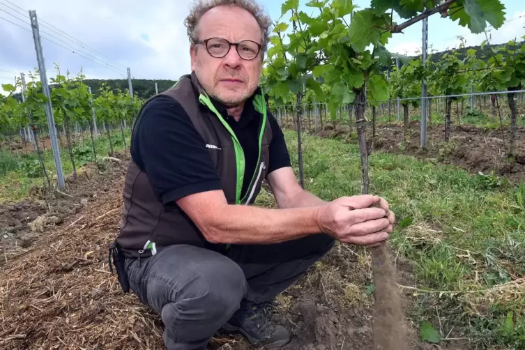 Geschätzt für seine offene Art und seine Expertise in Sachen Weinbau: Ulrich Mell. 