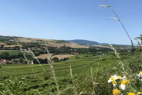 Ein Teil der Pilgerwanderung wird vom schönen Blick ins Zellertal begleitet.