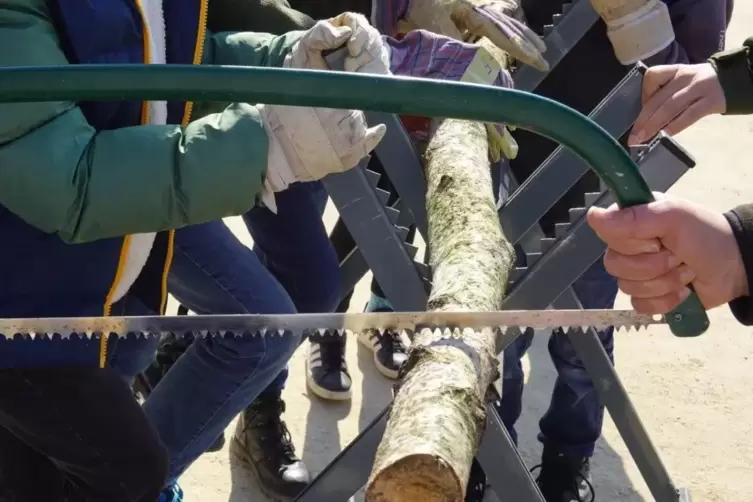 Ein Baum speichert CO2: Das lernen Kinder beim Baumscheibenspiel der Rucksackschule.
