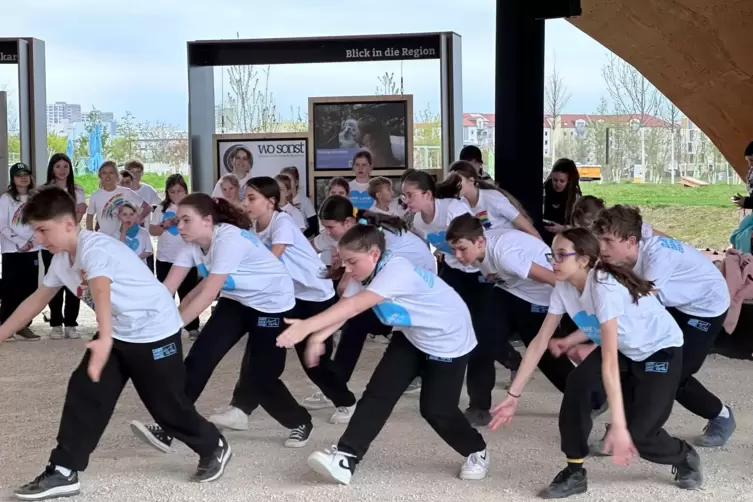 Flotte Rhythmen und eine ausgefeilte Choreografie: Die Streetdancer des Dany-Dance-Centers aus Neuhofen zeigen beim Buga-Auftrit