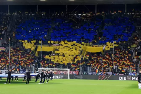 Am 12. Juni spielt die DFB-Elf gegen die Ukraine. 