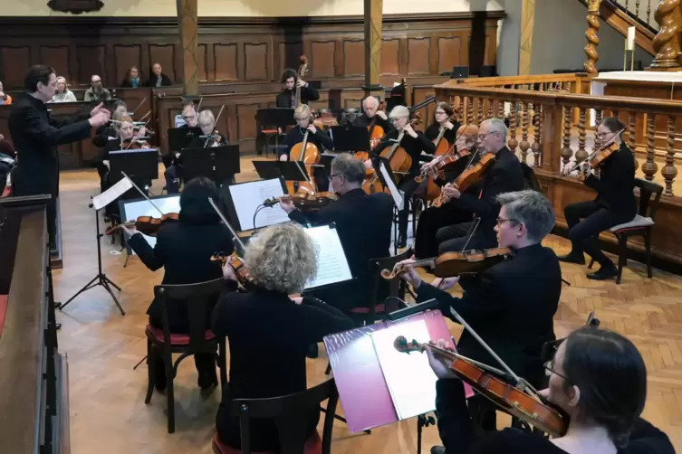 Das Speyerer Kammerorchester: links am Pult Matthias Metzger. 