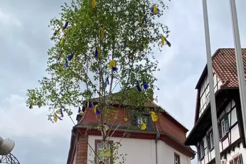 Zur Feier des Maibaumstellens spielt die „Wirtshauskapelle“. 
