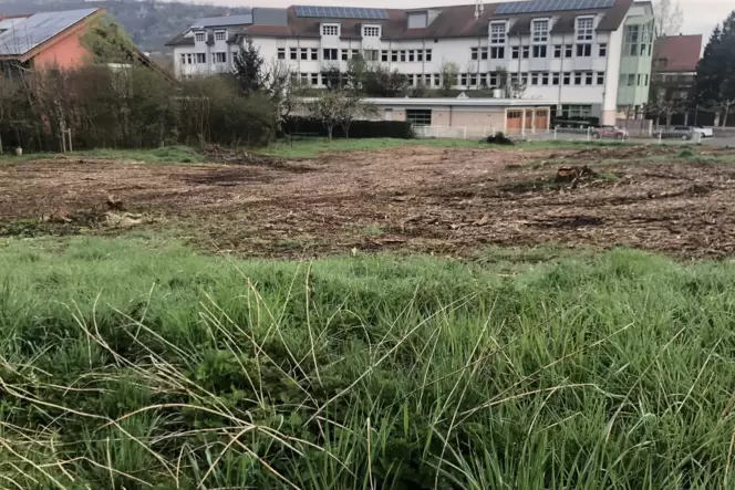 Auf dem bislang unbebauten Grundstück nahe der Sparkasse Donnersberg (weißes Gebäude im Hintergrund) soll in Rockenhausen ein Är Auf dem bislang unbebauten Grundstück nahe der Sparkasse Donnersberg (weißes Gebäude im Hintergrund) soll in Rockenhausen ein Är