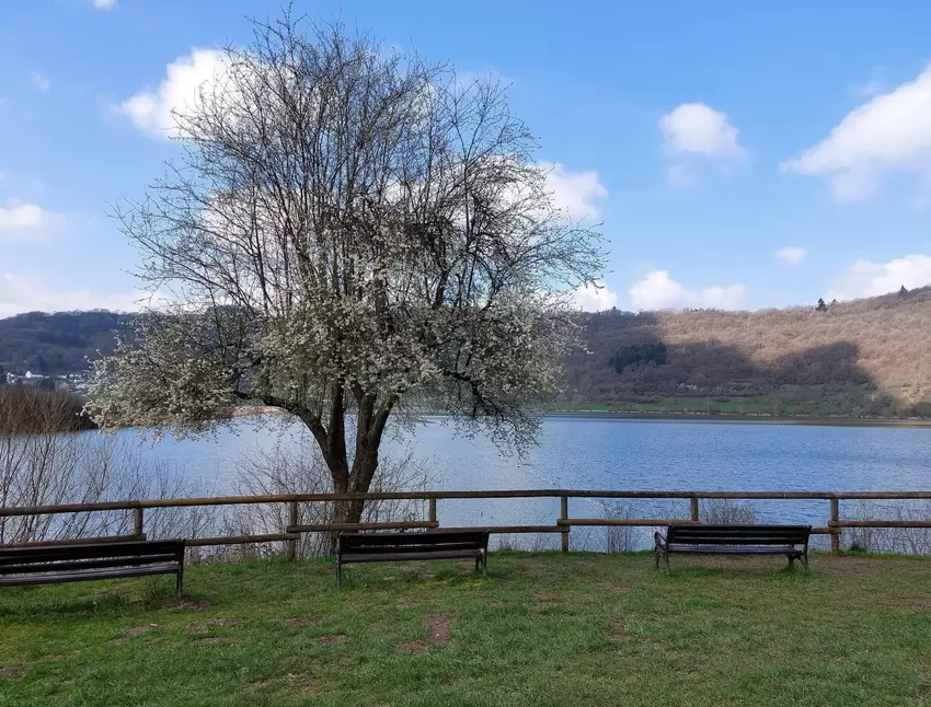 Blick aufs Maar: Sitzgruppe am See bei Meerfeld.