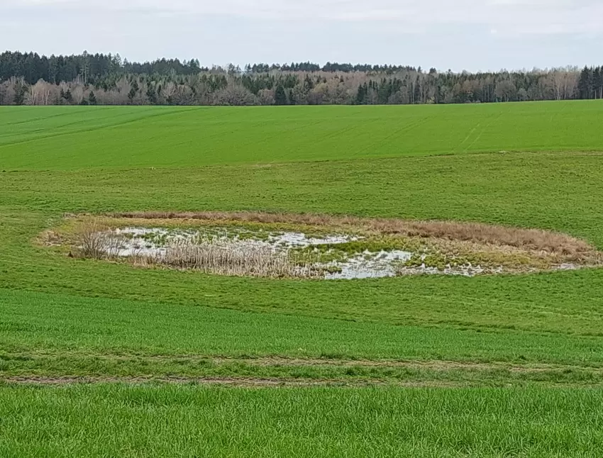 Das kleinste seiner Art: Hetschenmaar.