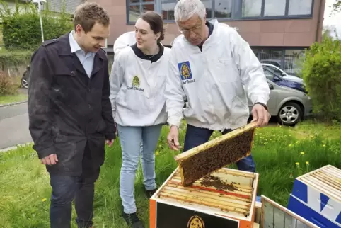 Die Volksbank Lauterecken mietet ein Bienenvolk beim Imkerverein Glanbrücken. Von links: Vertriebsleiter Christopher Steiger, di
