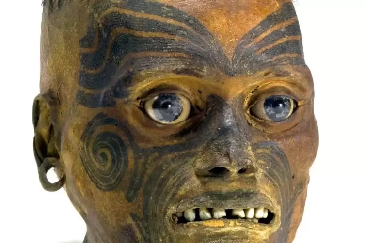 Einer der mumifizierten Māori-Köpfe in den Reiss-Engelhorn-Museen.