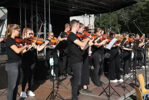Das Ensemble „Bratschenpower“ der Kreismusikschule, hier bei einem Auftritt in Limburgerhof, ist auch im Palatinum zu hören. 