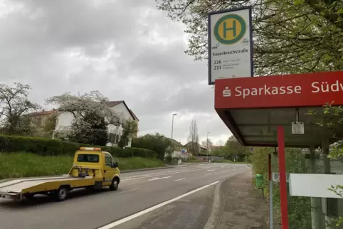 Der geplante Radstreifen in der Steinhauser Straße sorgte im Zweibrücker Stadtrat für Diskussionen. 