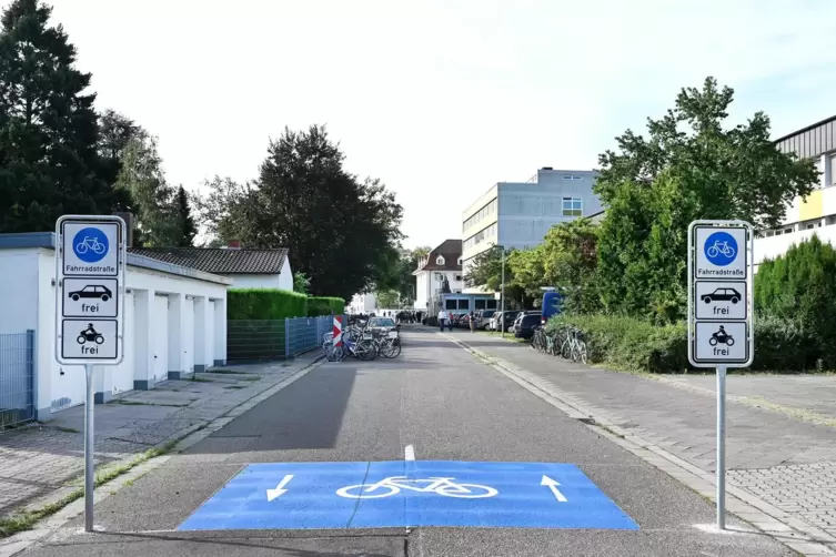 Fahrradstraße am Doppel-Gymnasium: Die Speyerer Ortsgruppe der Radler-Organisation ADFC hätte gerne mehr davon, am zumindest vor