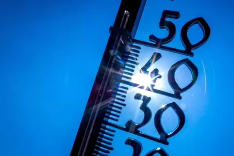 Klimaschutz-Initiativen wollen die Erderwärmung aufhalten.