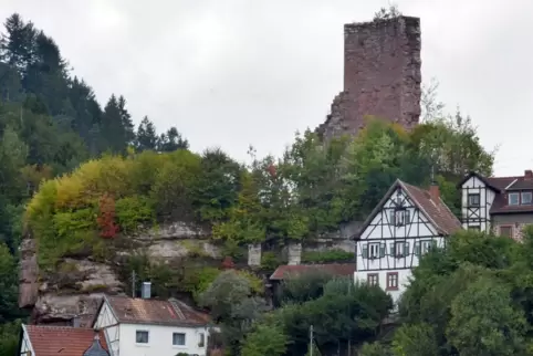 Streitobjekt: Noch kann niemand die Elmsteiner Burg erkunden. Das wollen ihre Besitzer ändern. 