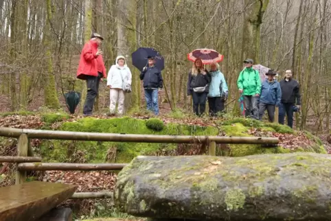 Wanderführer und RHEINPFALZ-Mitarbeiter Willi Hack (links) erklärte, welche Spuren die Kelten und Steinzeitmenschen im Wallhalbt