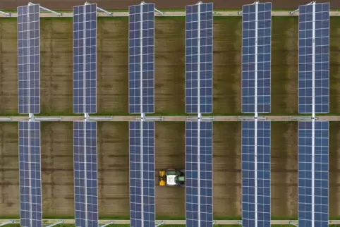 Vorgesehen für die VG Göllheim sind sogenannte Agri-PV-Anlagen. Der Acker, auf dem sie stehen, kann dann trotzdem noch bearbeite