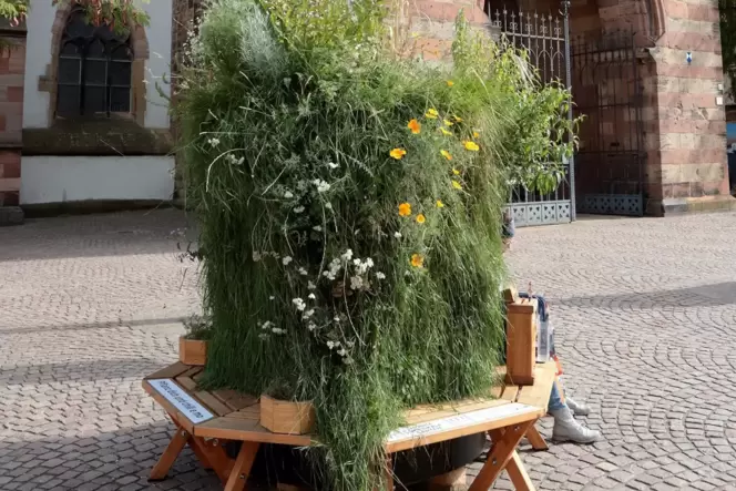 Dieser mobile Garten stand eine Weile auf dem Stiftsplatz.