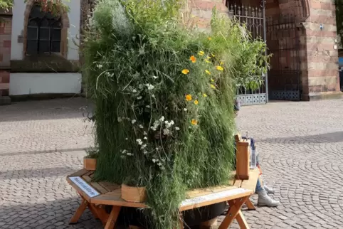 Dieser mobile Garten stand eine Weile auf dem Stiftsplatz. 